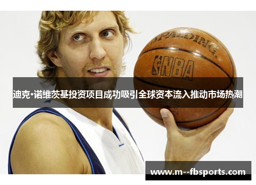 迪克·诺维茨基投资项目成功吸引全球资本流入推动市场热潮